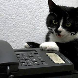 Hallå? Vem där? Hur svarar du i telefon?