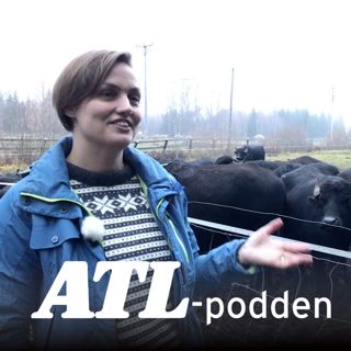 Stämpling för rotpost ökar