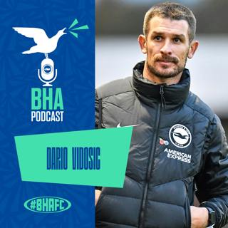 Aussie flair with Dario Vidosic