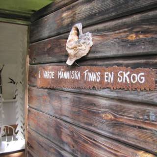 Pinnplockerskan