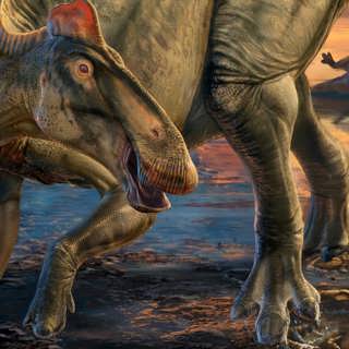 Flod av dinosaurieupptäckter – ny teknik förändrar bilden av urtidsdjuren och deras värld