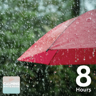 Gentle Rain ASMR for Sleeping (8 Hours) | Soothing Rainfall for Deep Relaxation