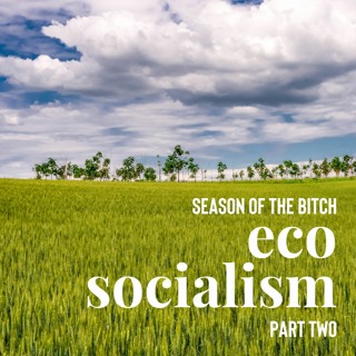 Episode 85: Ecosocialism Pt. 2