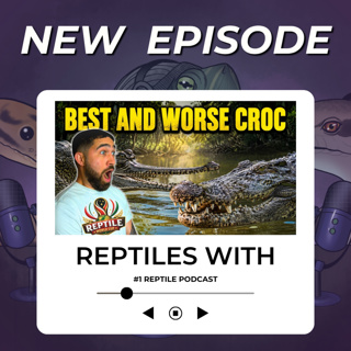 CROC WEEK! Ranking Every Crocodilian Species (Which One Is #1?)| Reptiles With Podcast