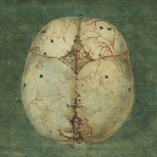 Your brain on language