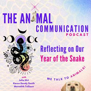 Reflections on Our Year of the Snake