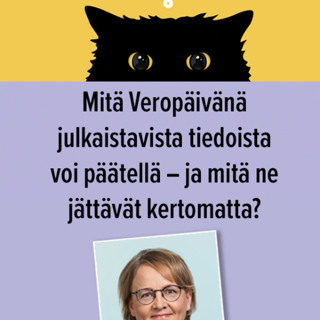 Mitä Veropäivänä julkaistavista tiedoista voi päätellä - ja mitä ne jättävät kertomatta?
