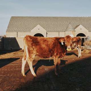 NATO Vows Military Aid, Biden Orders Lunar Time Zone, Trump Blames Biden for Tragic Death, Bird Flu Outbreak, and more...