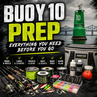 The Ultimate Buoy 10 Prep Guide | Everything You Need Before You Go