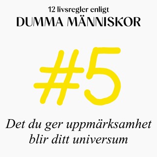 #5 Det du ger uppmärksamhet blir ditt universum (12 livsregler enligt Dumma Människor)