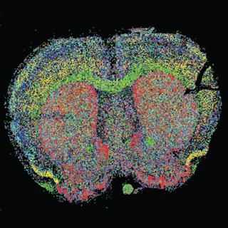The Human Cell Atlas
