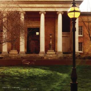 A Duck in a Tree 2025-10-25 | Circumstances Never End