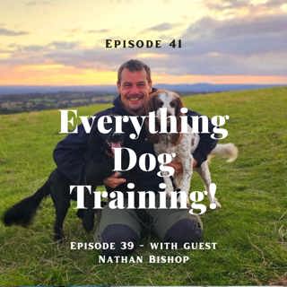 Episode 41 - with guest Nathan Bishop