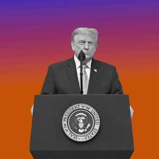 What Next - Trump’s White Whale
