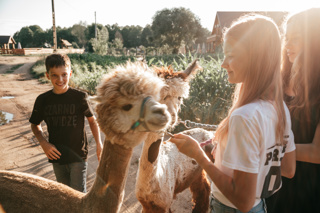 Audio Article: 10 Agritourism Ideas For Your Farm