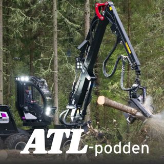 Ny hybrid i skogen