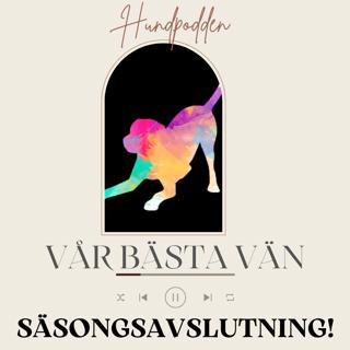 Nose Work - När hunden får hunden använda sitt primära sinne
