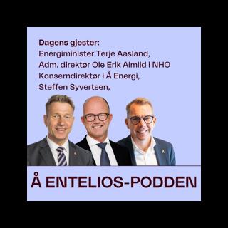 Kraft-topper: Slik skal vi sikre nok kraft og nett