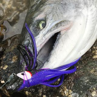 Early Tributary Fishing Tactics - Coho & Chinook Fishing Ep. #15