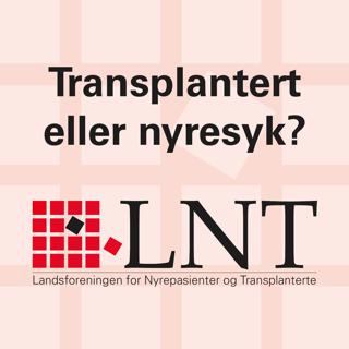 Tom Hemming Karlsen – bauta innen forskning på leversykdommer
