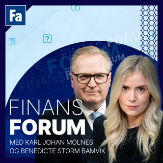 FinansForum: Typer av shortere
