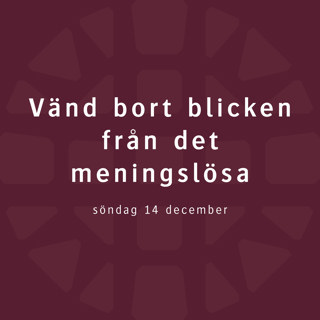 Vänd bort blicken från det meningslösa – Britta Hermansson