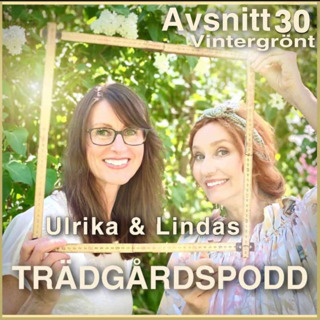 Avsnitt 30 - Vintergrönt