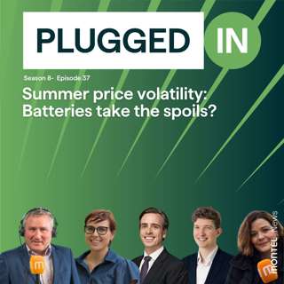 Summer price volatility: Batteries take the spoils?