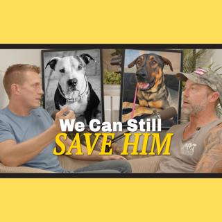We Lost A Dog Last Night. We Refuse To Lose Another One.