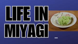 Why life in Miyagi is DIFFERENT!