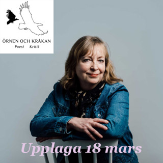 Love Frisell om Henrika Ringbom