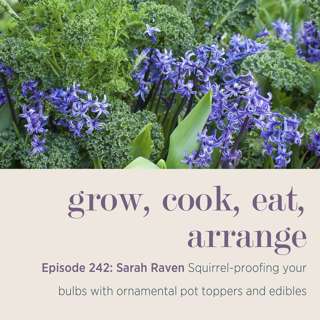 Sarah Raven: Squirrel-proofing your bulbs with ornamental pot toppers and edibles - Episode 242