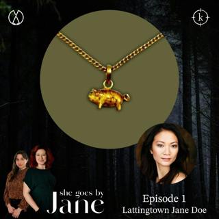 1: Episode 1: Lattingtown Jane Doe with guest reader Erica Wong