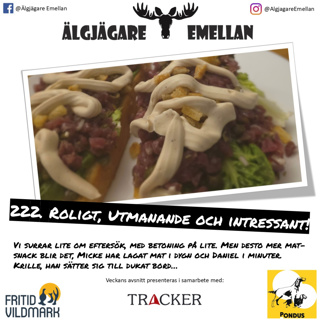 222. Roligt, Utmanande & intressant!