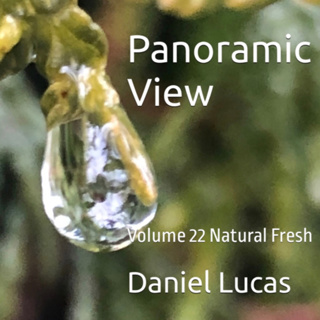 Panoramic View Volume 22 Natural Fresh by Daniel Lucas
