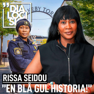 #253, Risse Seidou, ”EN BLÅ-GUL HISTORIA”
