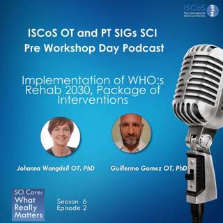 Implementation of WHO:s Rehab 2030, Package of Interventions