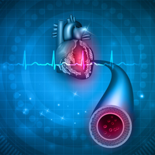 The Heart's Hidden Economy: Why Efficiency May Be the Next Frontier in Cardiovascular Health
