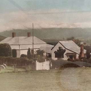 Ep 8: The Farm Mudgegonga _ Mary Brewer 2