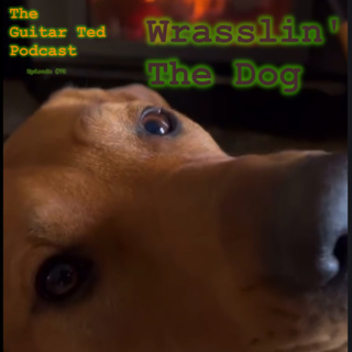 Wrasslin' The Dog