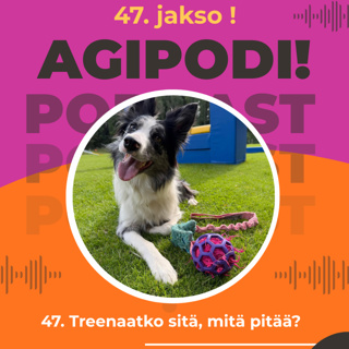 47. Miksi treenaat asioita, joita et tarvitse?