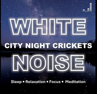 City Night Crickets | White Noise: 1 Hour Urban Symphony for Sleep, Relaxation, Focus, Meditation