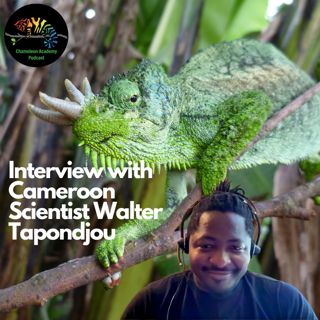 Interview with Cameroon Scientist Walter Tapondjou