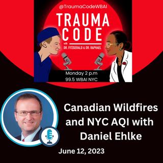 Canadian Wildfires and NYC AQI