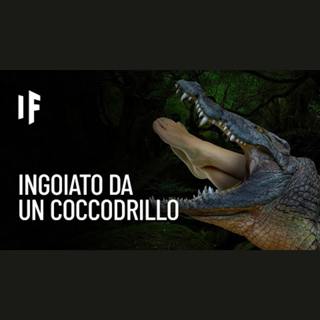 E se venissi inghiottito da un coccodrillo?