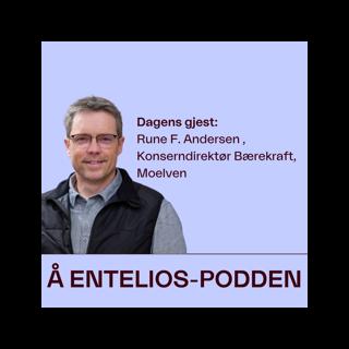 Industrigigant snur på flisa i jakten på energikutt 