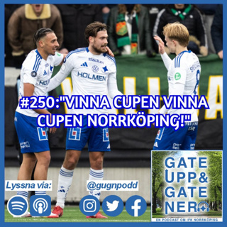 #250:"VINNA CUPEN, VINNA CUPEN NORRKÖPING!"