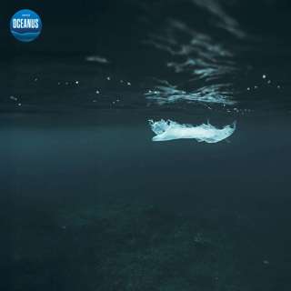 Do plastics last for thousands of years in the ocean?