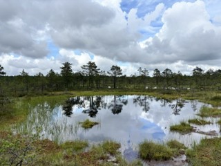 474. För närvarande uppehåll
