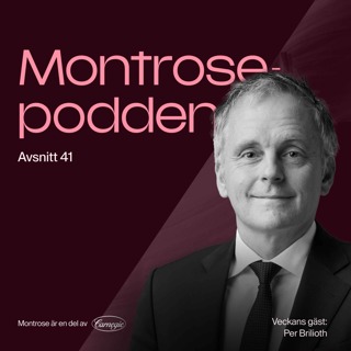 #41 - VNV Globals Per Brilioth tror på ljusare tider - letar bolag med starka nätverkseffekter och höga inträdesbarriärer!